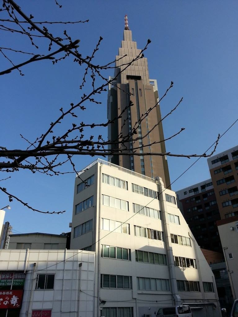 アノネ 春一番が吹こうが 吹くまいが　花粉は飛んでいるんだよね。 みつを　【2014年3月19日】