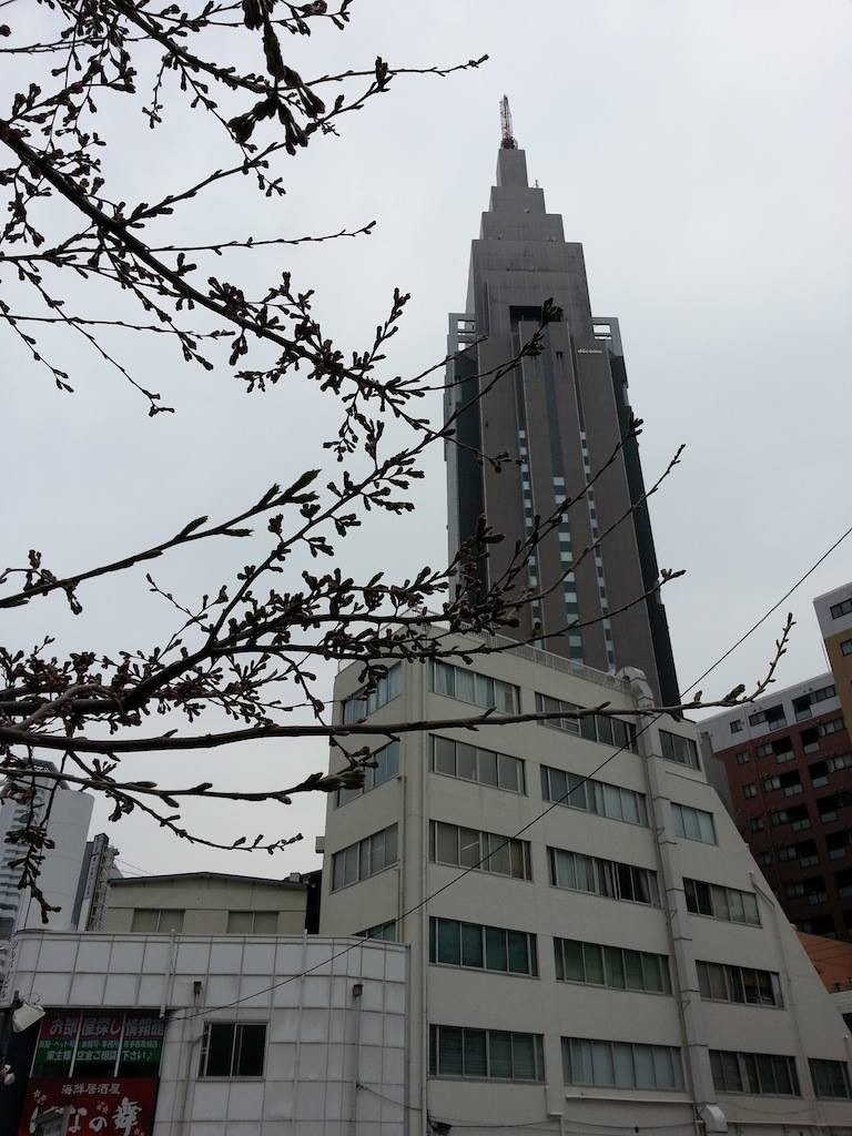 春に三日の晴れ無し！…だもの。　みつを　【2014年3月26日】