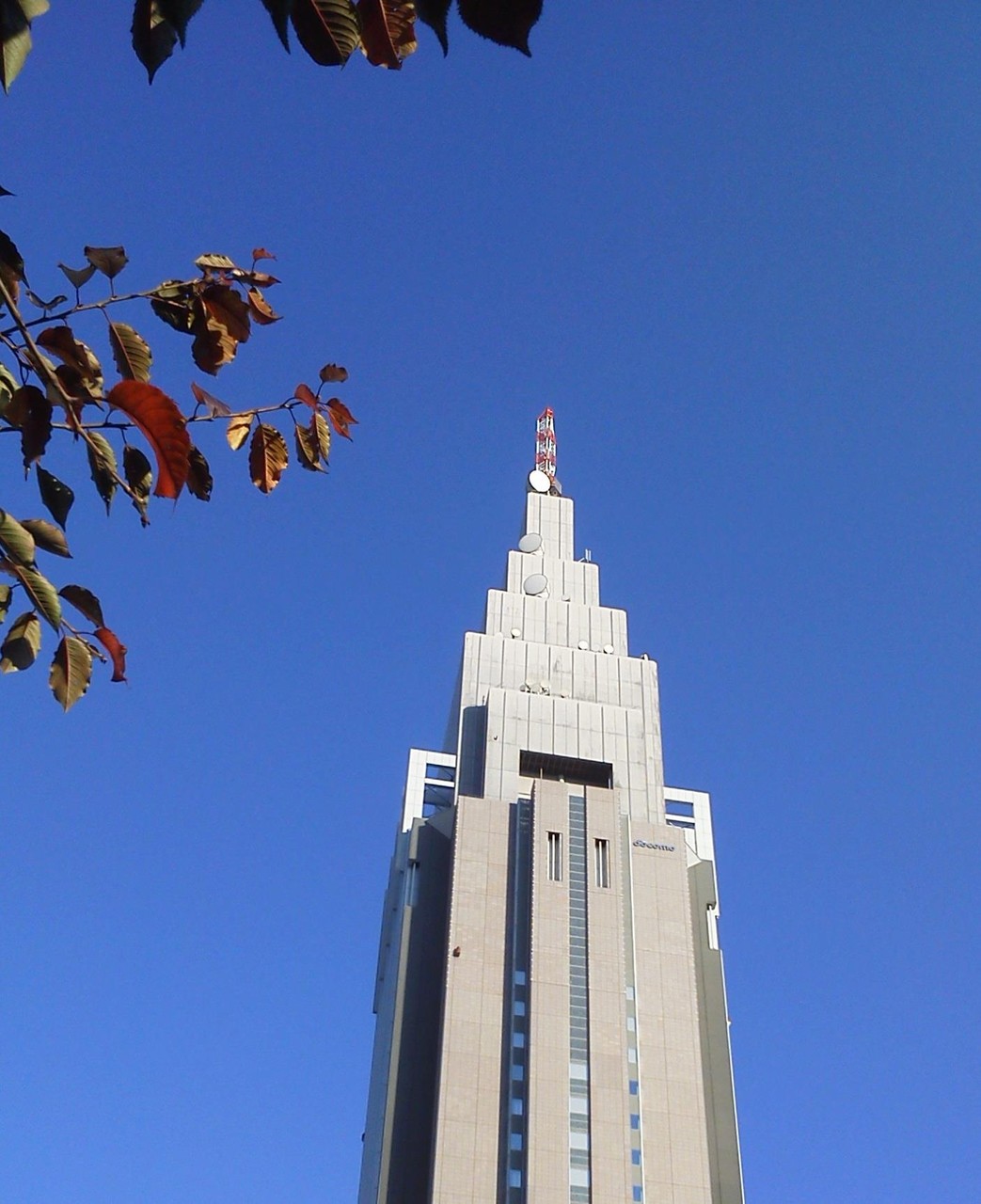 東京は晴れでつよぉ～！　天高くドコモ聳える秋…だなぁ〜！　【2011年11月17日】