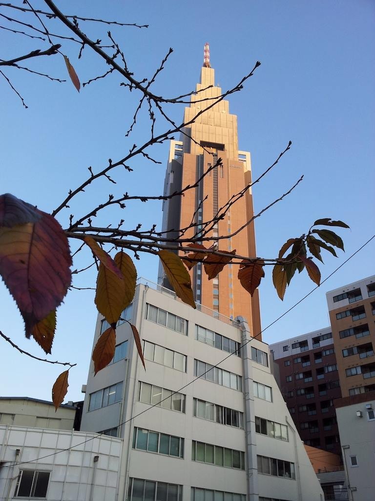 わ・し・ょ・く で お・も・て・な・し、だな。　【2013年12月5日】