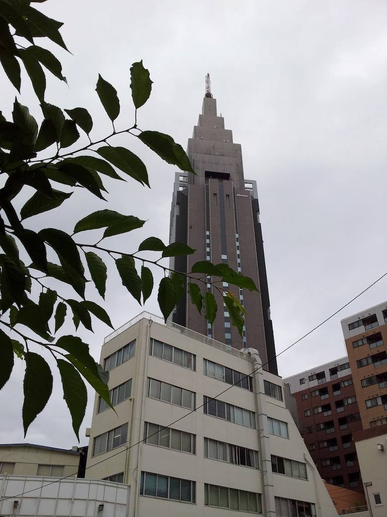 梅雨らしくなったのか、台風３号の影響なのか…　【2013年6月11日】