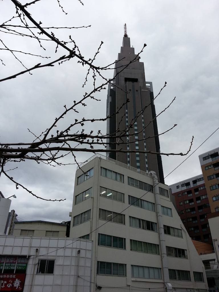 今日は、雨上がりで天気が良く気温も高いので、花粉の飛ぶ量が凄いんらすいでつよ、奥さん！　【2014年3月14日】