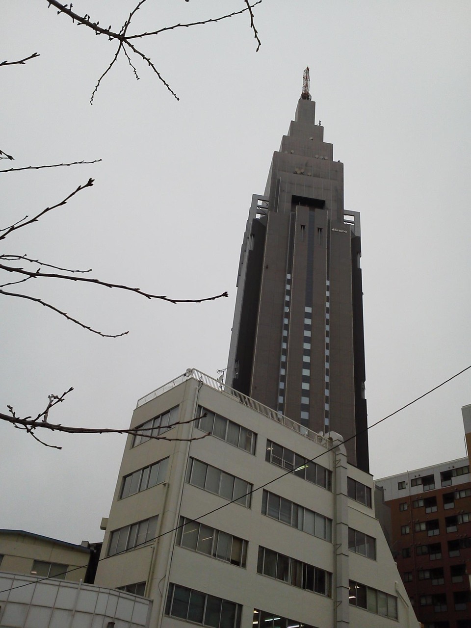 写真ではわかりませんが、粉雪なう。　【2012年2月16日】