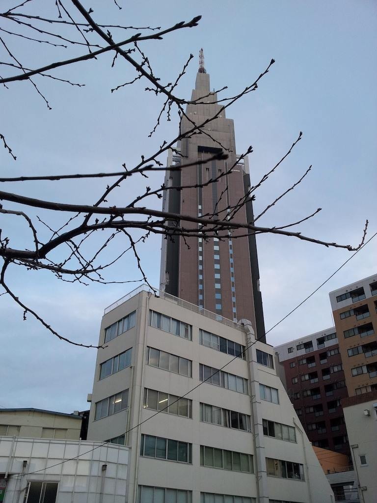 今年も残すところあと二日！…と１１ヶ月でつよ。　【2014年1月30日】