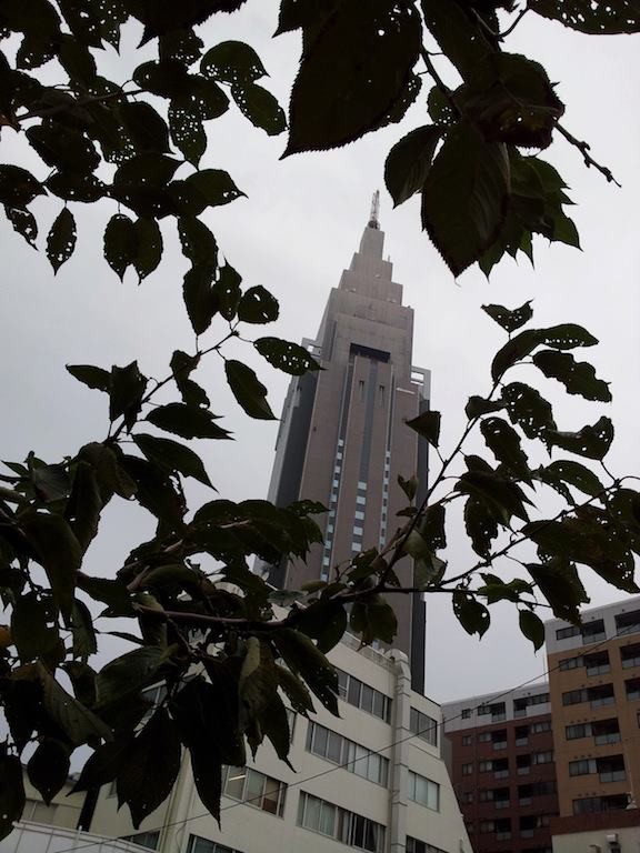 【東京地方】今日は、曇りで昼前から雨となるでしょう。明日は、曇りで未明は雨となりますが、午後は晴れるでしょう…だそうだ、奥さん！　【2012年10月18日】