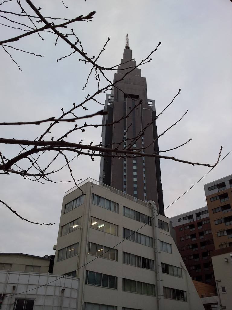 溶けないうちに明日も雪かもでつってよ、奥さん！　【2014年2月13日】