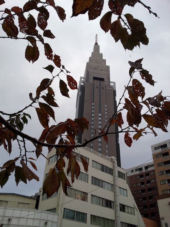 今日は代々木学院の球技大会。生憎の空模様でつが屋内競技なので、とくに問題なしおイグレシアス！　【2012年11月30日】