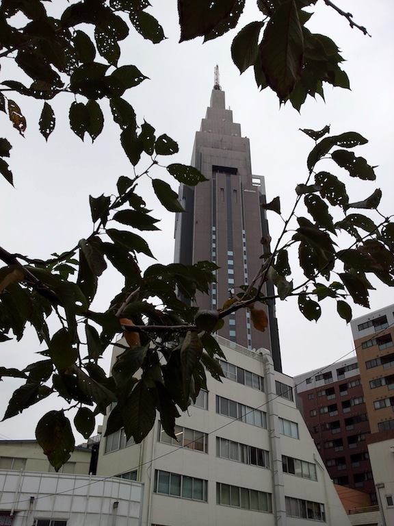 今日は概ね曇りで、夜は雨かも…だそうでつよ。　【2012年11月5日】