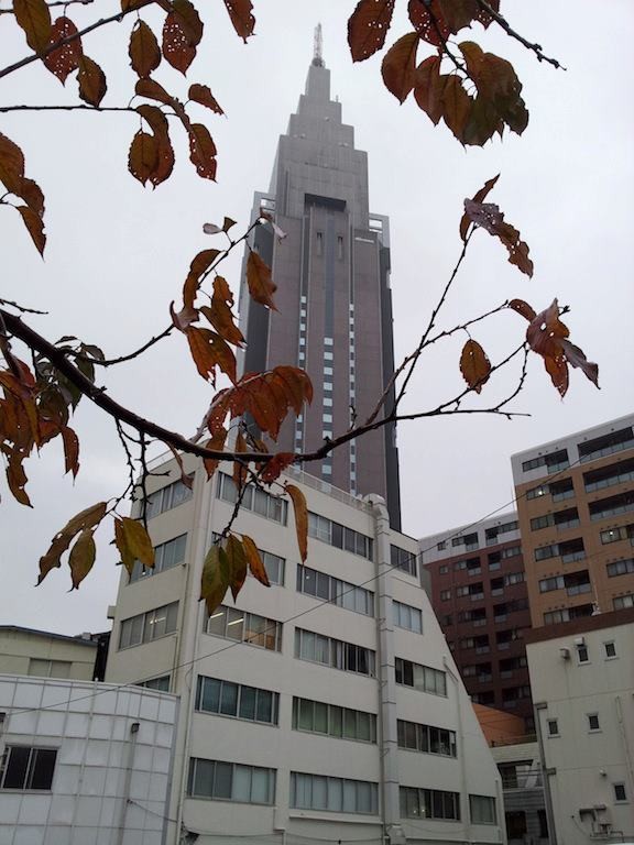 昼前まで雨となり、雷を伴う時間もあるってよ。そすて、昨日よりさらに数枚散っている葉っぱ。　【2012年12月4日】