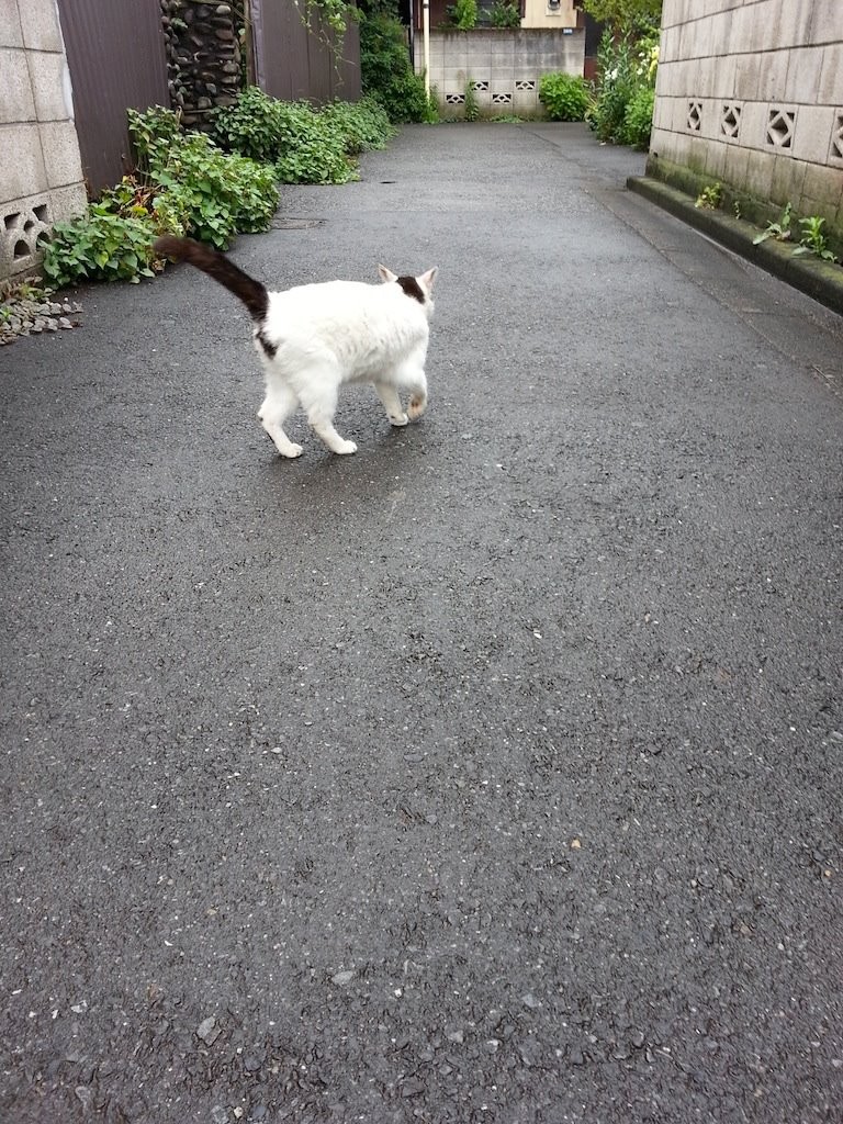 ほな、　【2014年7月10日】