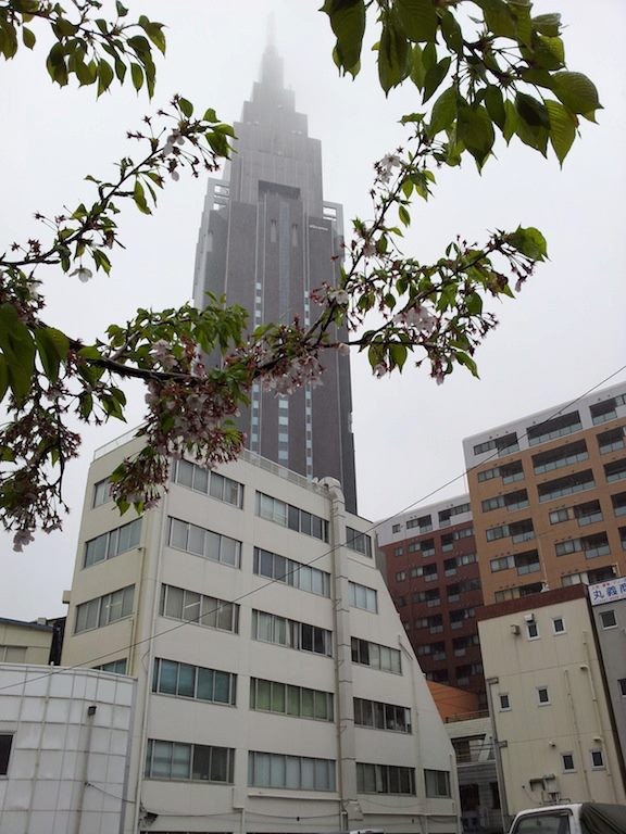 朝、あまりに雨が激しいので、濡れてもいいように海パンで来たら、寒くて全身バードスキンだよ。　【2013年4月3日】