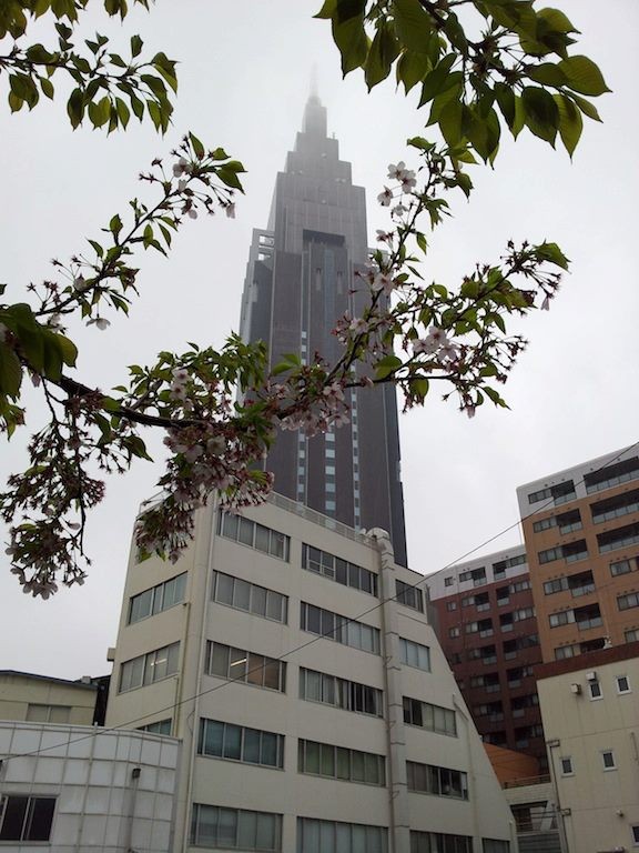 花冷え、そすて花散らしの雨ダス。(((；ﾟДﾟ)))ｻﾑｰ　【2013年4月2日】