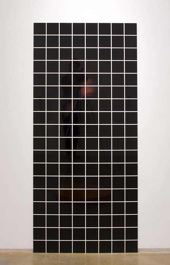 Portrait(Mr.Hayashi-Dark Brown), lambda print, plexiglass, caulking agent,188.5cm×83.5cm×0.6cm, 2016