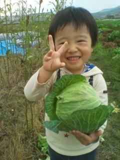 虫食いなしの無農薬キャベツ この世界をより良く生きるために私たちにできること 無農薬 無化学肥料栽培農家 なかやま農場 虫食いなしの無農薬キャベツ この世界をより良く生きるために私たちにできること 無農薬 無化学肥料栽培農家 なかやま農場