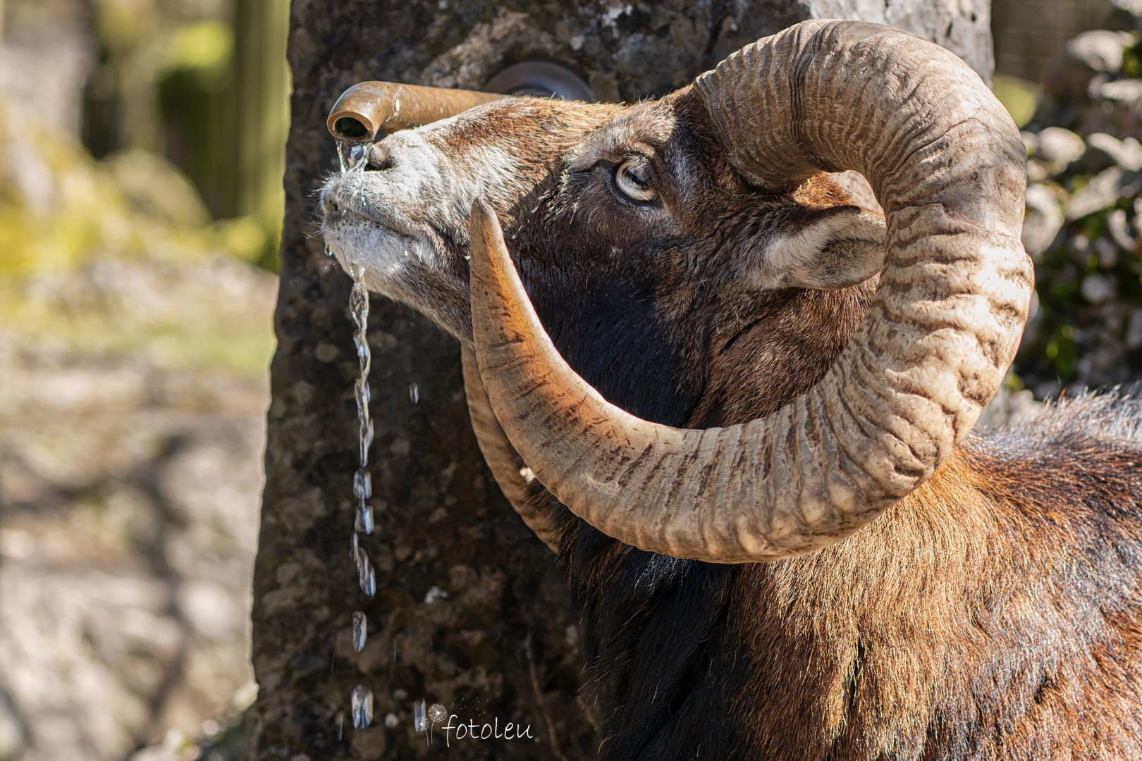 Besuch im Tierpark Goldau