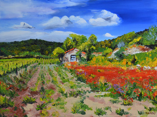 vigne et coquelicots - 61x46 cm - SKOCP1P12 - Indisponible