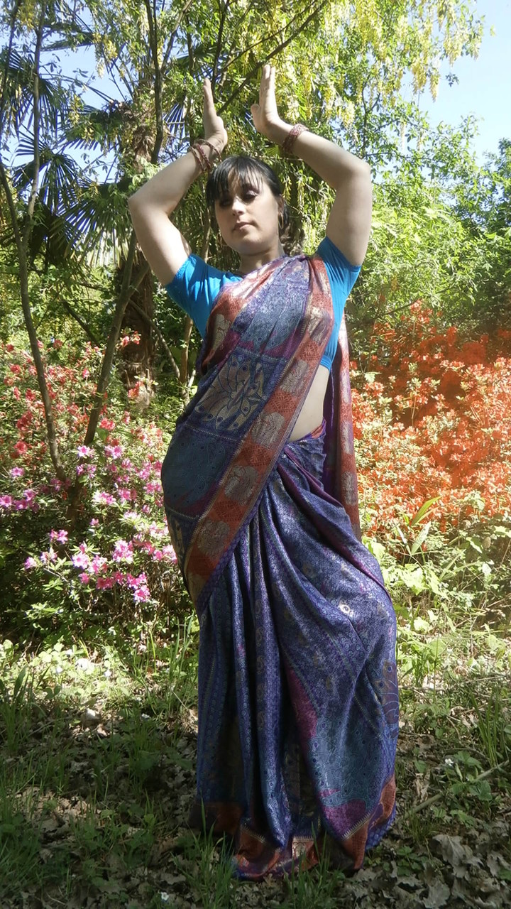 Sari