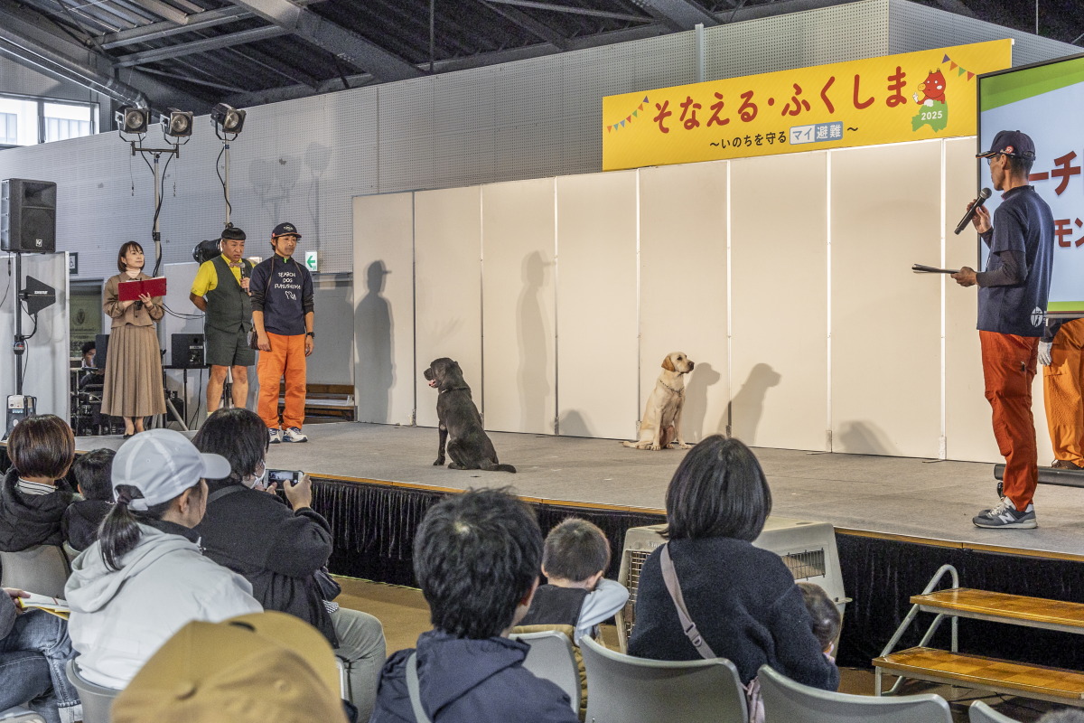 行進中にお座りで待ち、呼び戻します