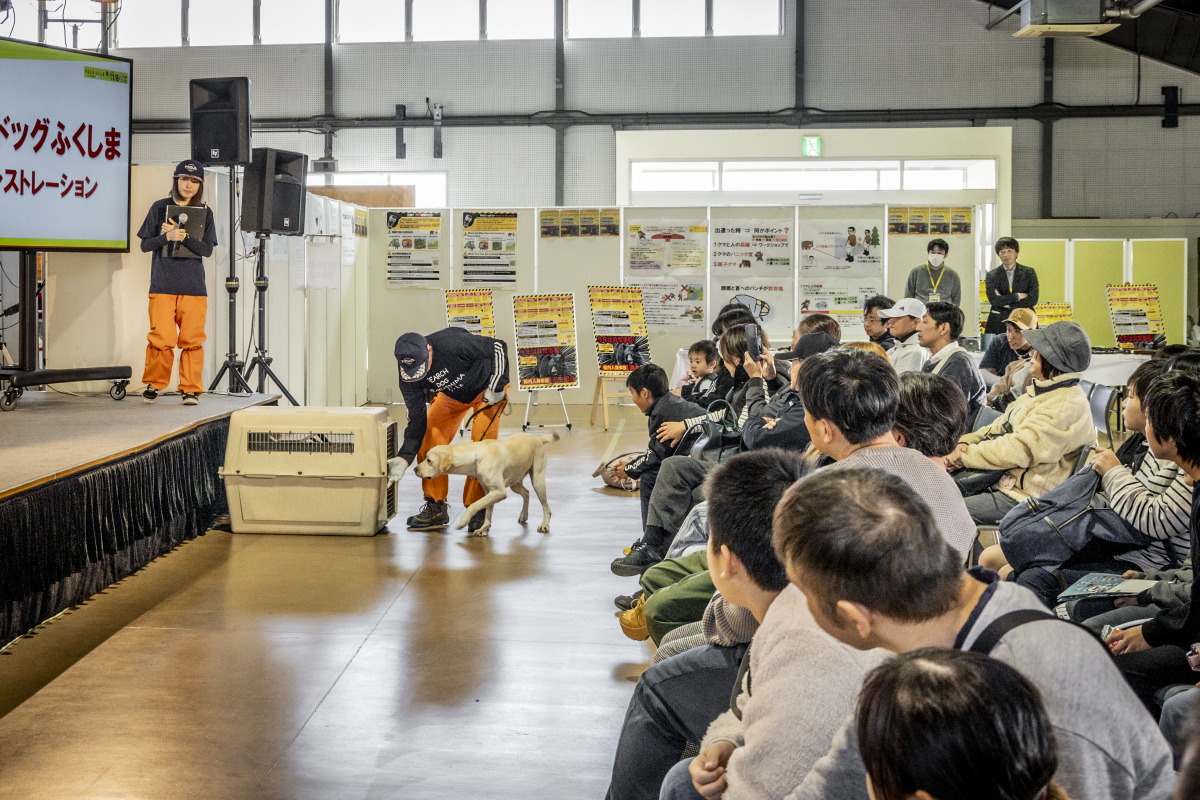 避難所生活の練習　ゲージで待ちます。きなこ