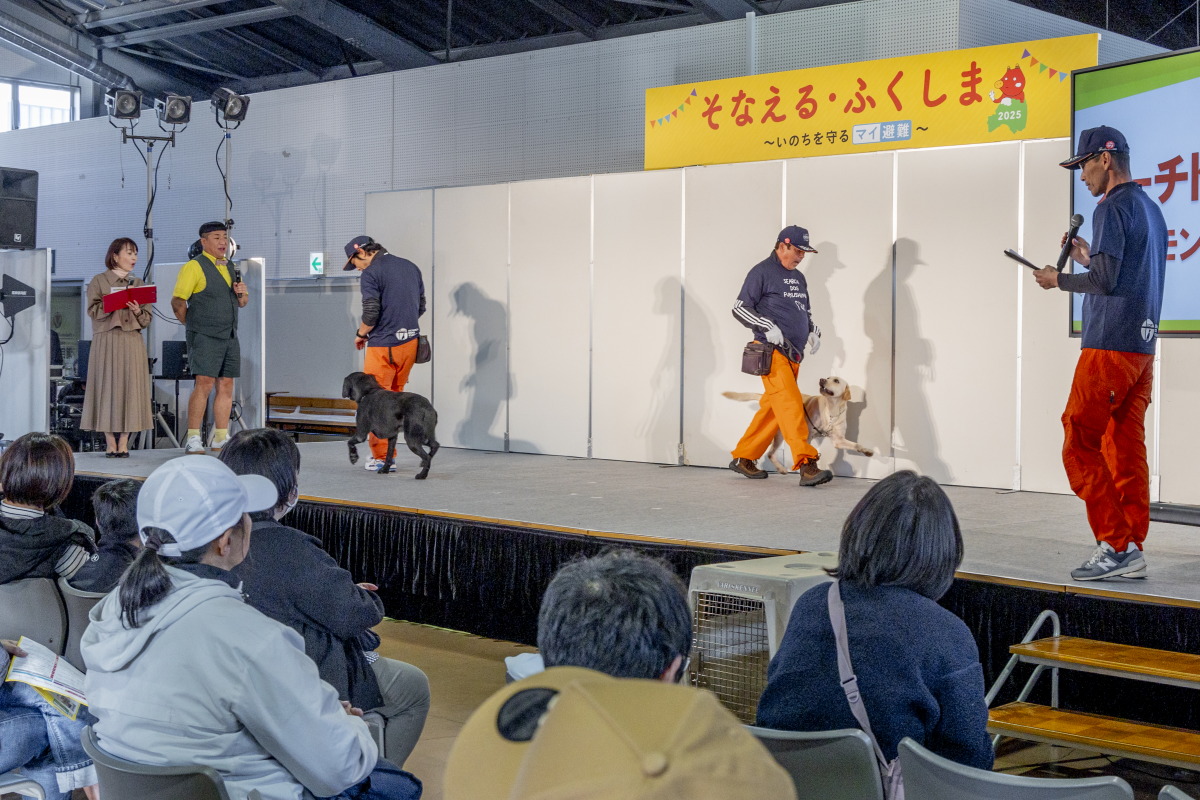 バズーときなこ　服従作業のデモ　