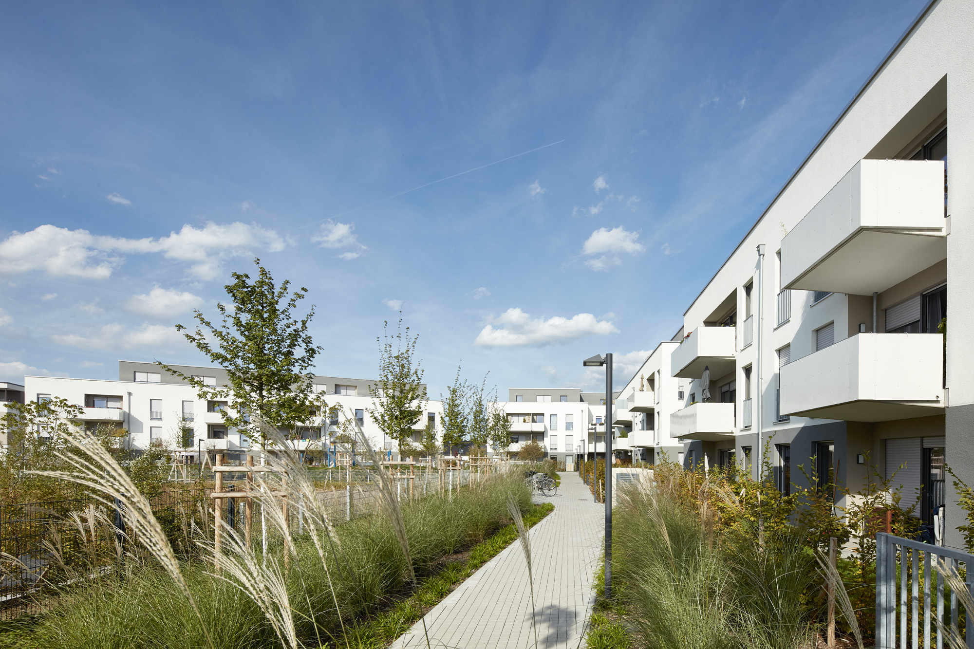 Surther Feld Schultearchitekten Koln