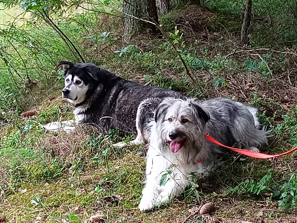 Greta und ihr Liebling Monti