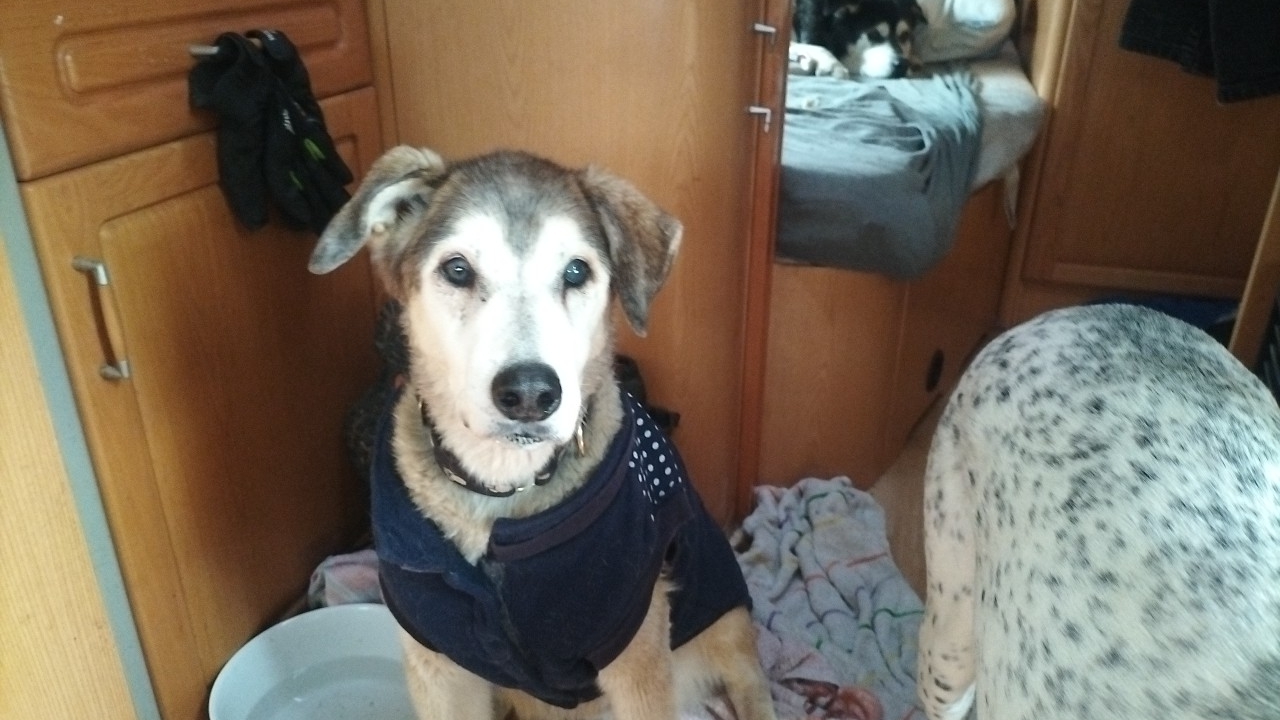 Baxter