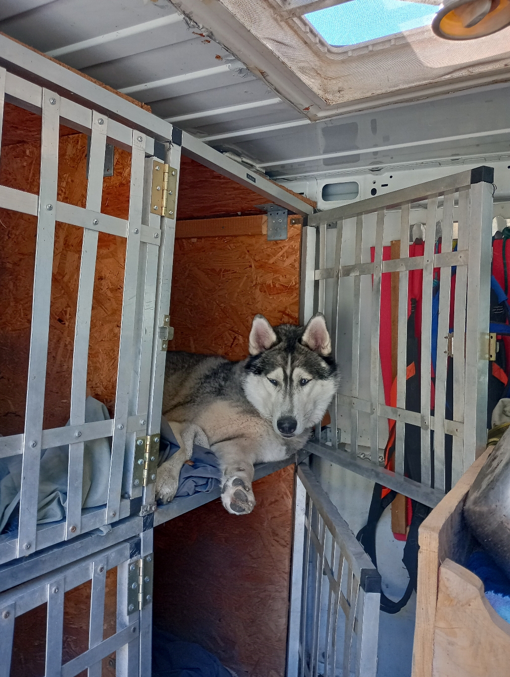 Fix und foxi, bin zu schwach um aus dem Transporter auszusteigen