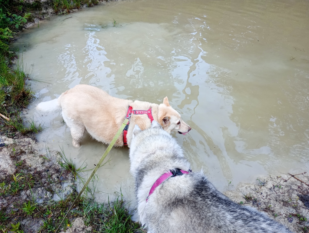 Wasser ist doch das schönste Element im Sommer
