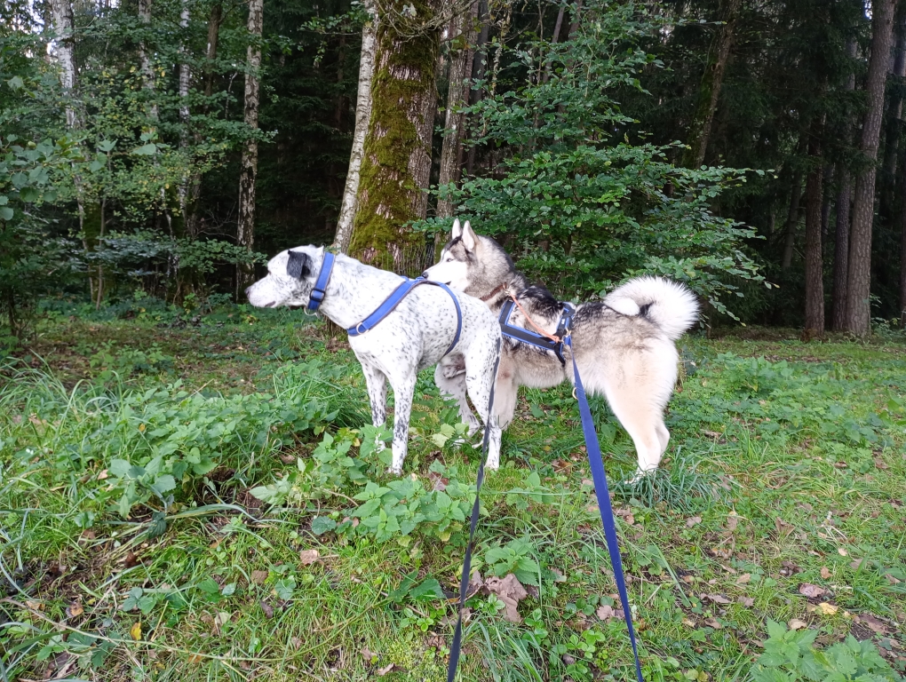 Wo ist was intresantes