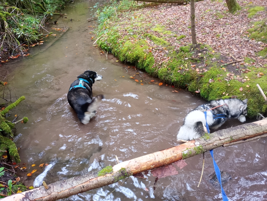 Wasser geht immer