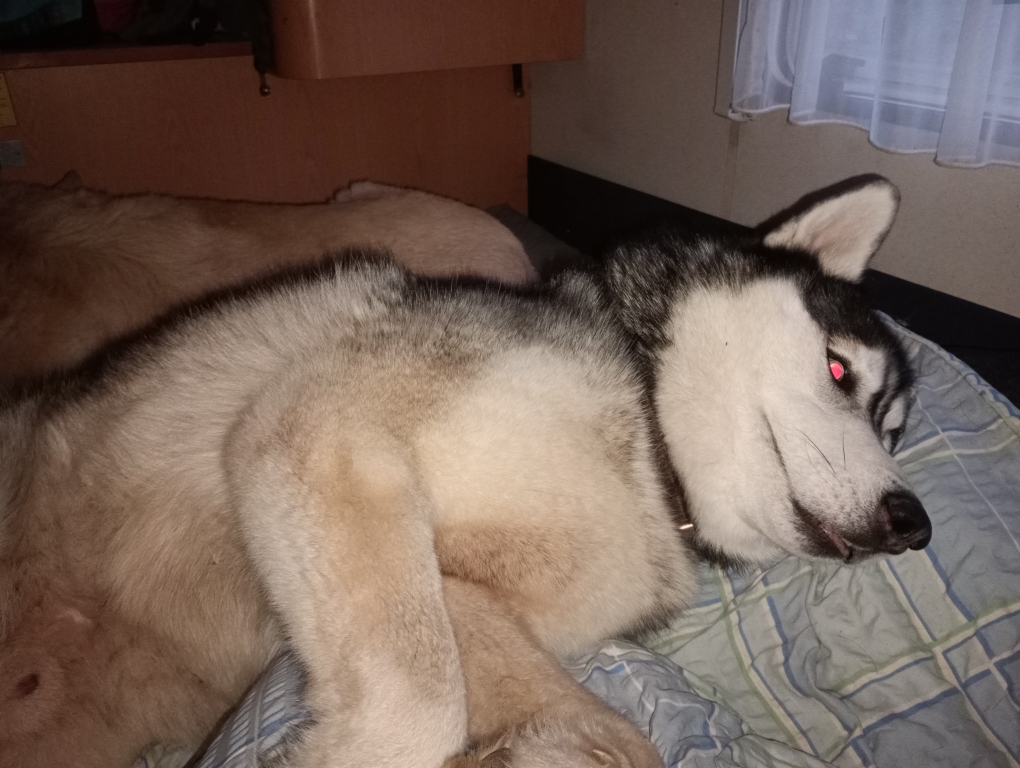 Primo ich mach mich ganz schlank im Bett