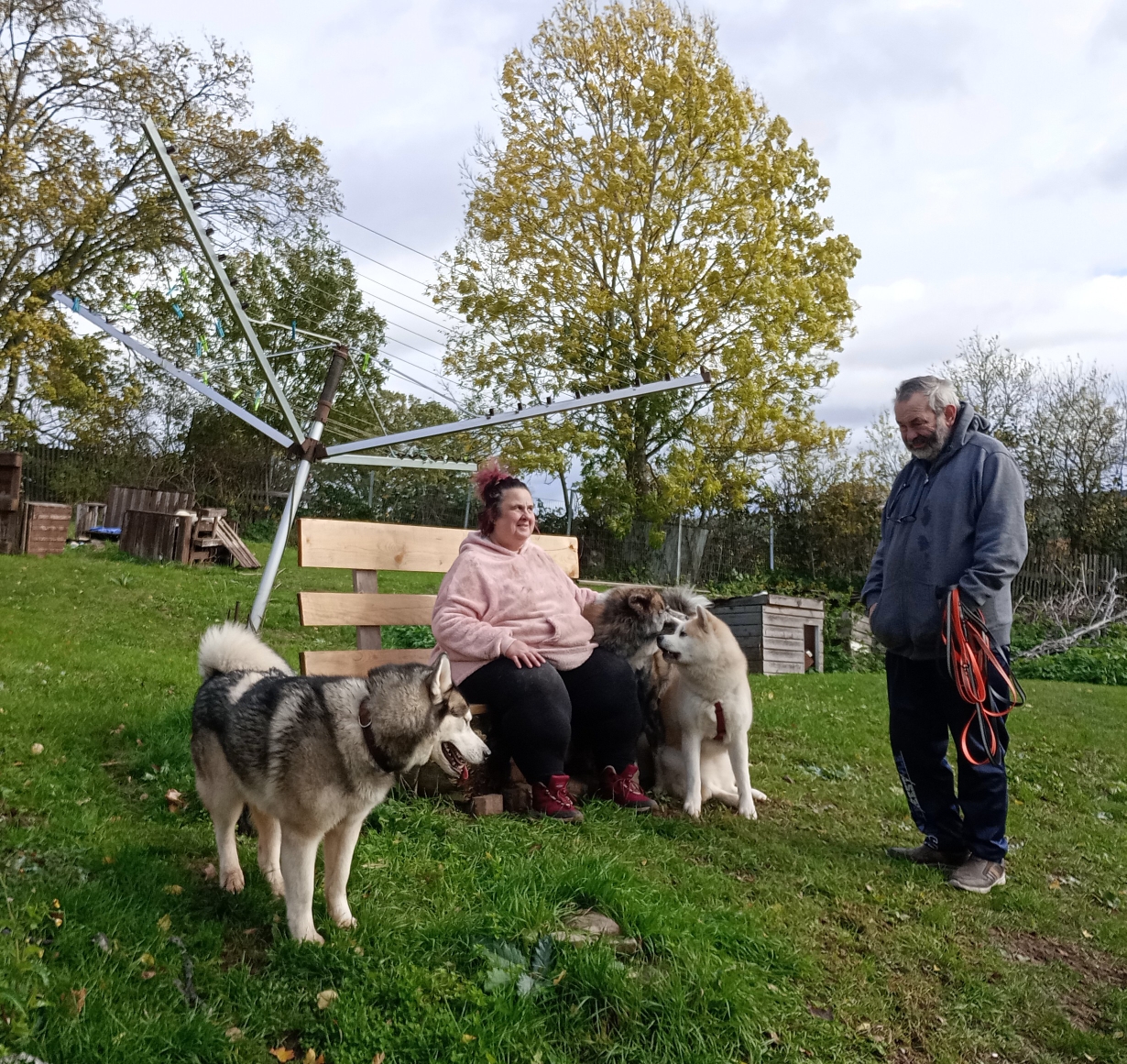 zwei Akita Inu zu Besuch