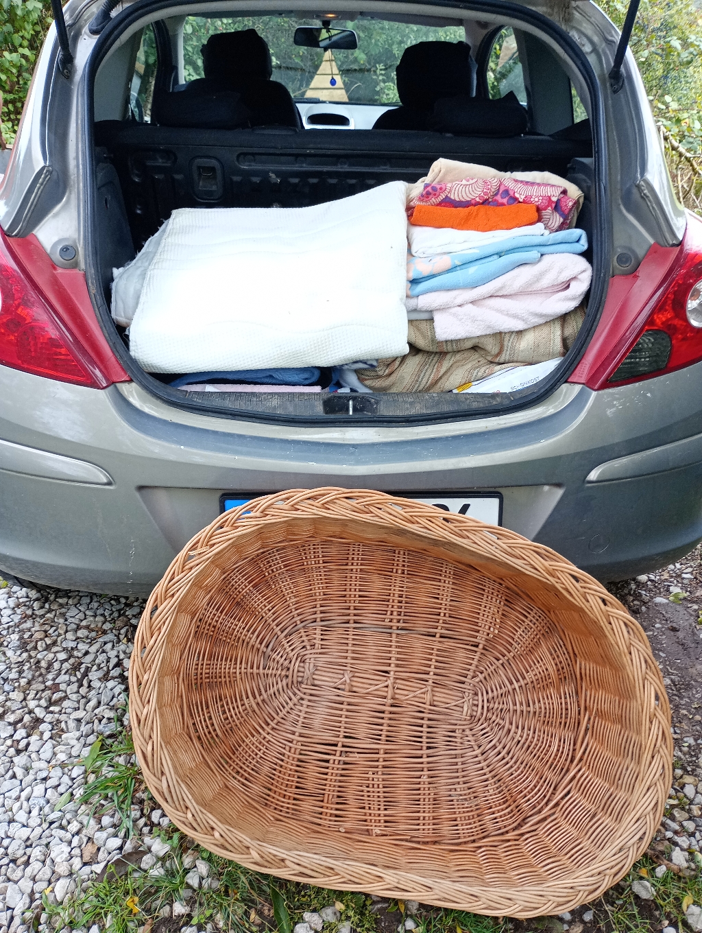 Decken und Körbchen bekommen