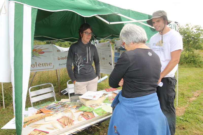 L'association Triptolème oeuvre beaucoup pour les blés anciens. 