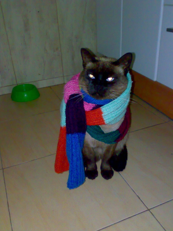 Guille in das Haus.