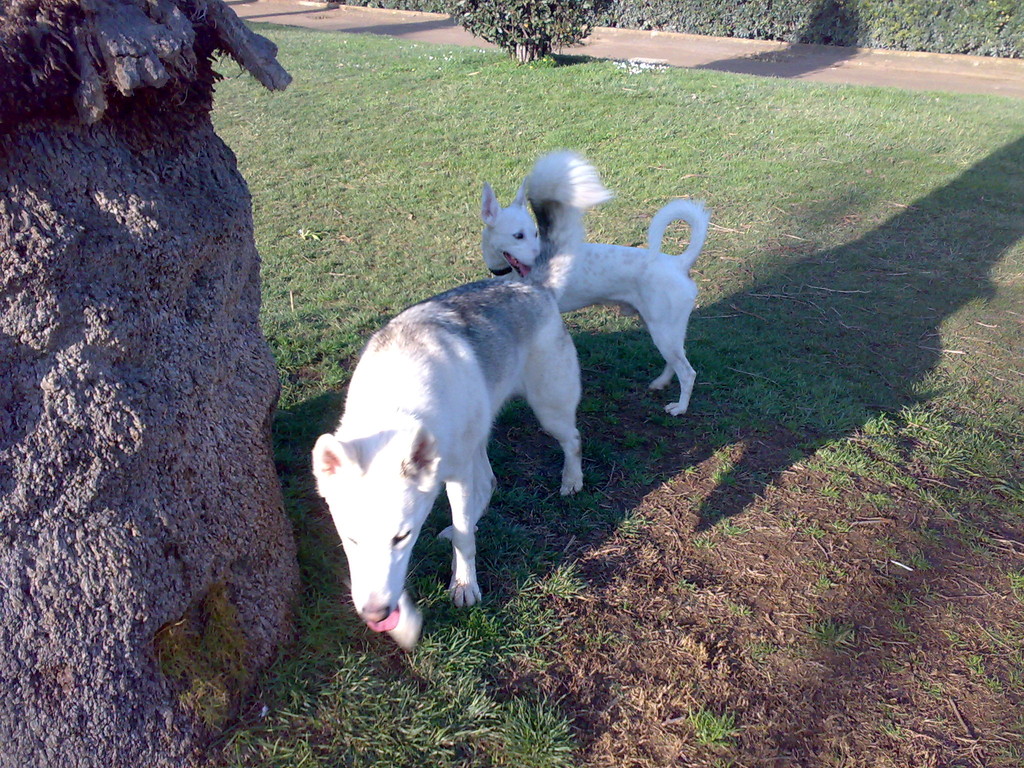 Ciutadella Park.