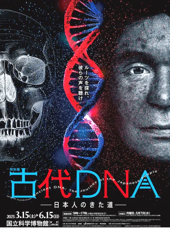 ブログ - 全国のPOP（ポップ）クリエーター、POP（ポップ