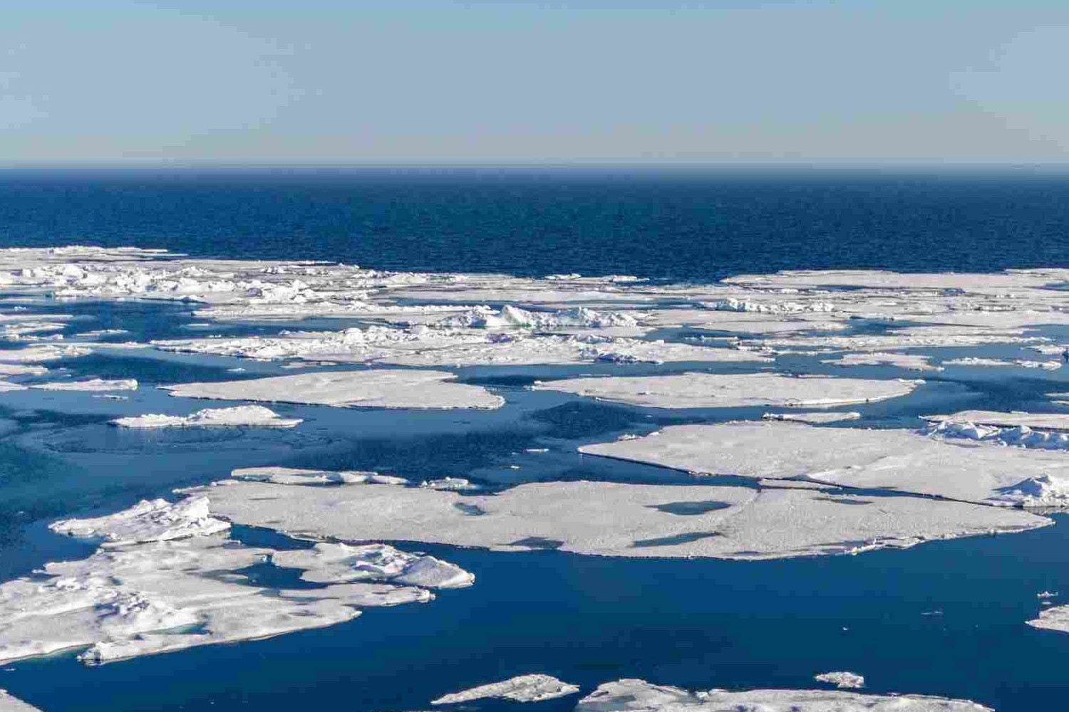 Arktisches Meer mit Gletschern