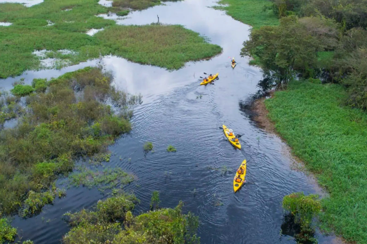 Mit dem Expeditionsteam von Seabourn den Amazonas erkunden