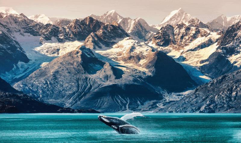 Ritz-Carlton Alaska Luxuskreuzfahrten