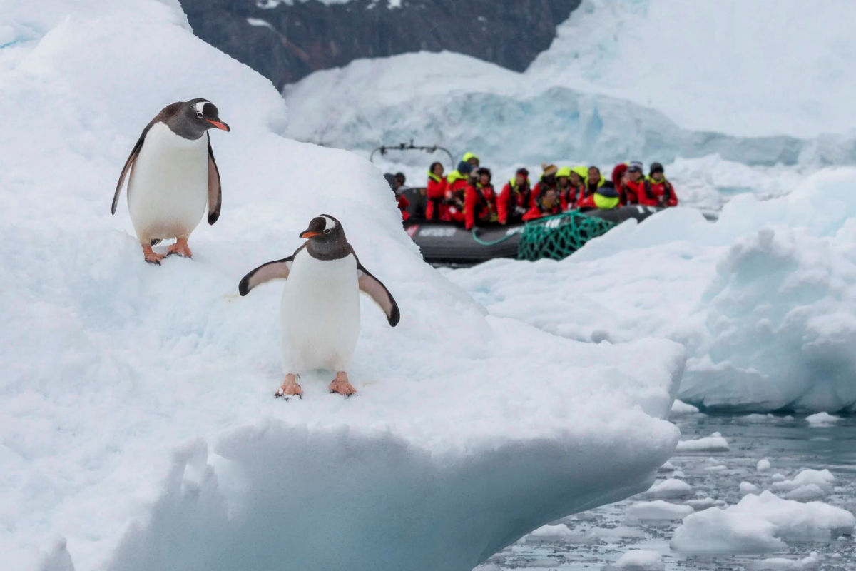 HX Expeditionsreisen Antarktis