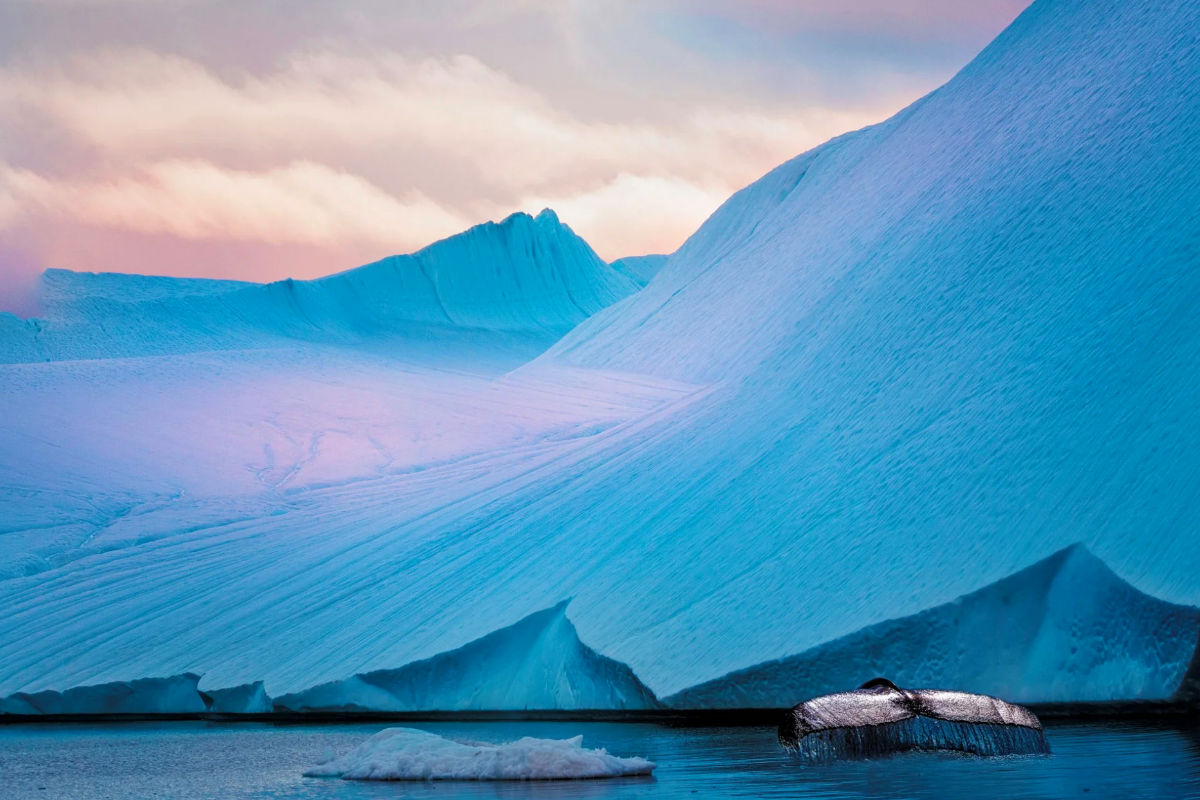 Mit Hurtigruten Expeditions nach Grönland