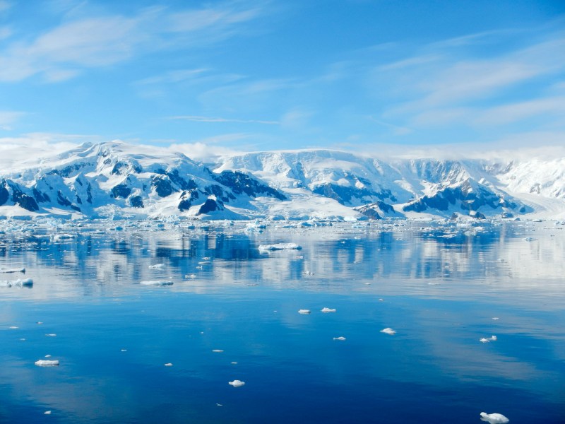 blauer meer und gletscher in der antarktis