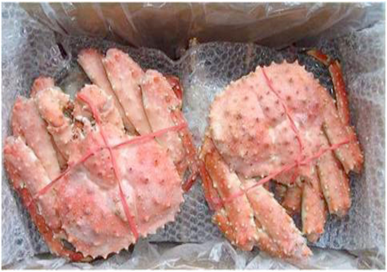Red king crab Website of yzproject!