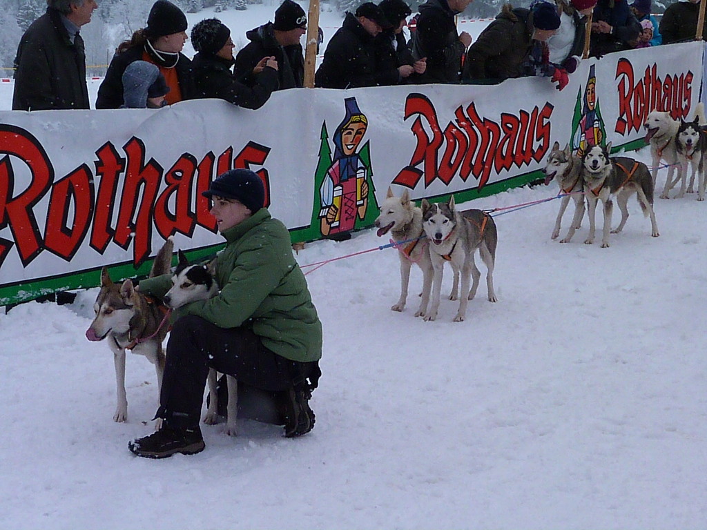 Wild und hund bekanntschaften