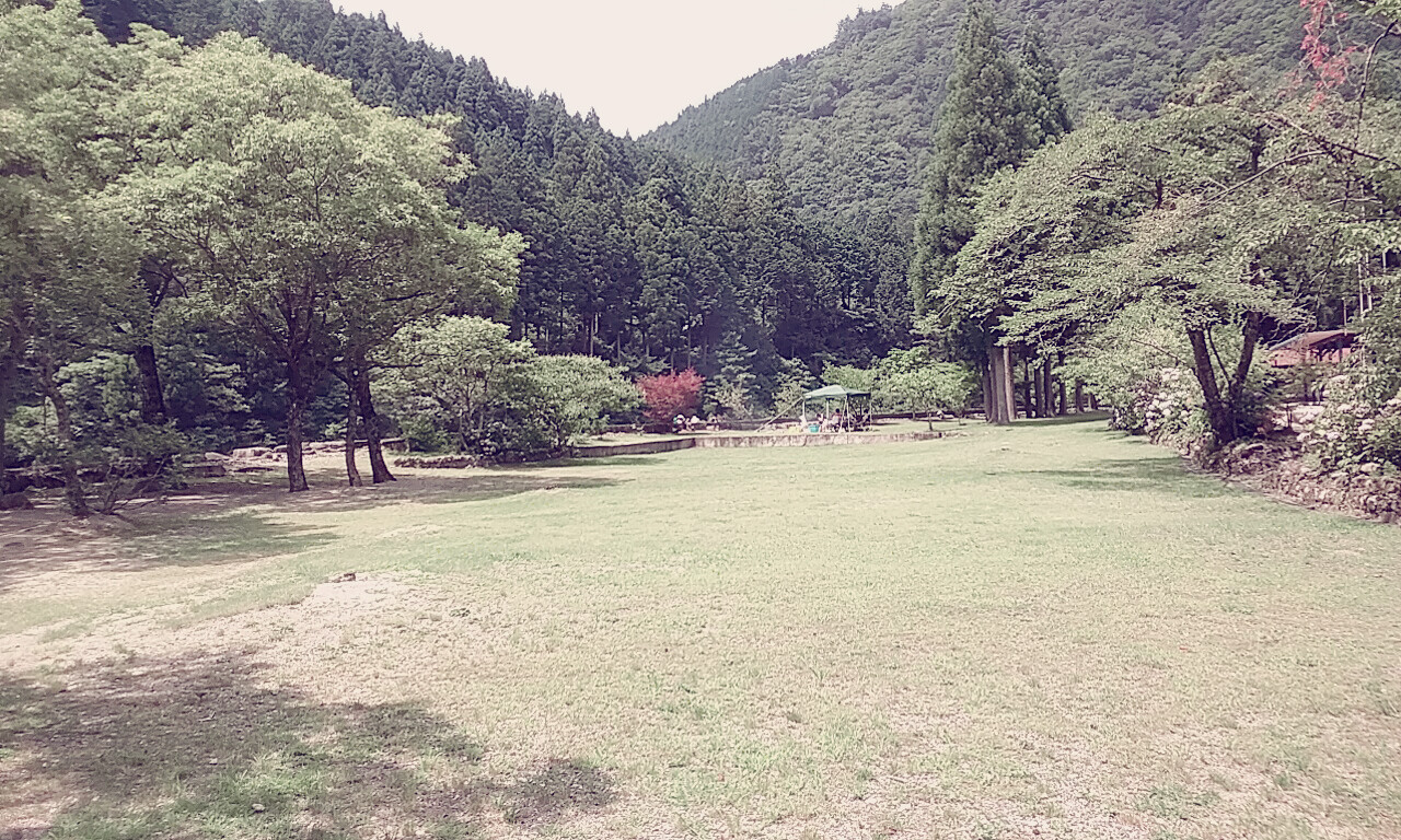 すぎのこキャンプ場 スイス村（旧テント村）