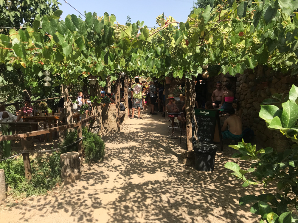 Reggae-Konzert im Garten-Eden.