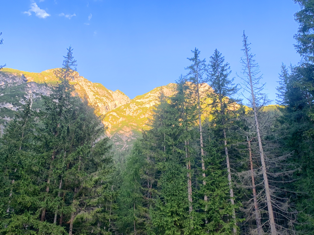 Erste Sonnenstrahlen