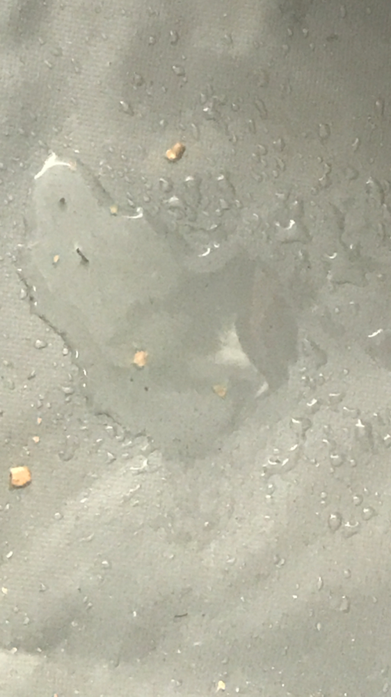 Pfütze auf dem Boden.